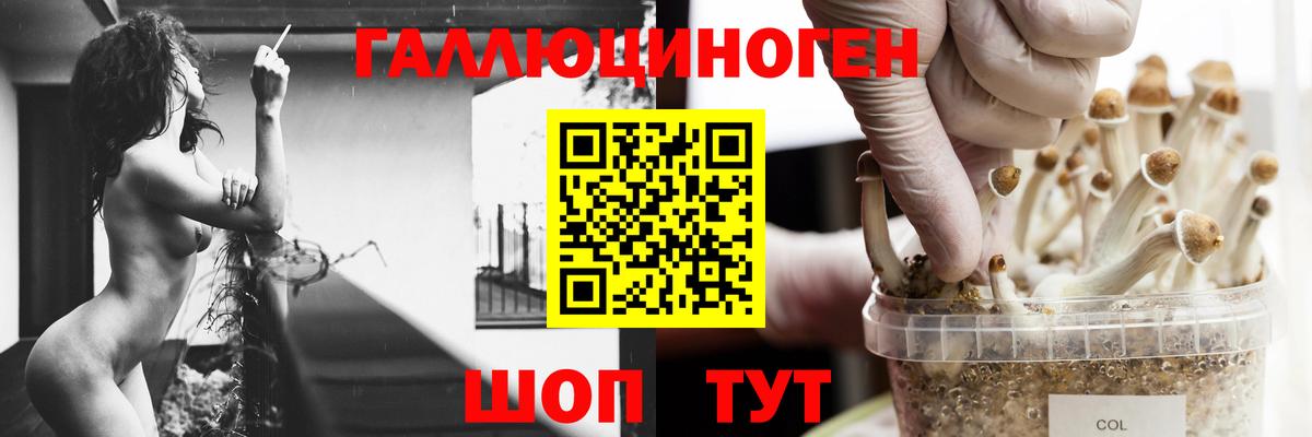 Псилоцибиновые грибы Psilocybine cubensis Уварово